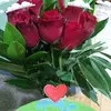 Mara Salvatierra - @marasalvatierra15 - TikTok