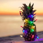Mara Leilani Datu Shepard - @shepard.hive.of.five - Instagram