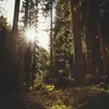 MaraShepard - @marashepard8 - TikTok