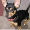 mara - @_mara_silva_1 - TikTok