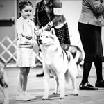 Mara Christina Snyder - @treelinesiberians - Instagram