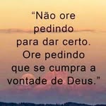 Mara Wallau Massario - @marawallaumassario - Instagram