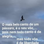 Mara Walter - @mara.walter.73 - Instagram