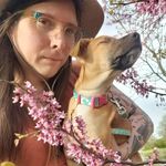 Mara Williamson - @handsomehousekraftwerk - Instagram