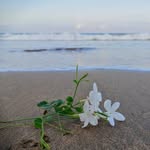 Marah Baker - @smahashm52 - Instagram