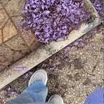 Maram Ali - @mr_95999 - Instagram