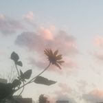 Maranda Lynn Baker - @marandabaker_official - Instagram