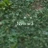 Maranda Brown - @maranda.brown - TikTok