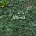 Maranda Brown - Facebook