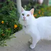 Maranda Clark - @maranda.clark - TikTok