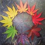 Maranda Counts (owner) - @swish.and.flick.studios - Instagram