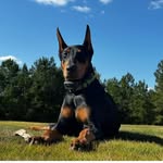 Maranda Davidson - @mdavidson1105 - Instagram