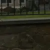 maranda.e.edwards - @bulldog0412 - TikTok