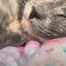 Miranda Gamez - Facebook