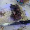 maranda lambert - @marandalbert1234567 - TikTok
