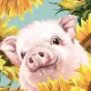 Maranda Rose Refresh - @maranda.rose.refresh - TikTok