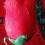 Lulu cruz - @marbellaborjas359 - Instagram