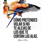 Marbella Castro - Facebook
