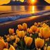 Marbella Medrano - Facebook