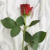 marbella - @marbellarincon69 - TikTok