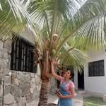 Marbella Rojas - @marbella.rojas.520900 - Instagram