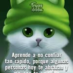 Marbin Sanchez - @marbin.sanchez.9028 - Instagram