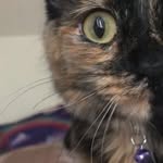 Marble Joleena Jones - @marble.jones - Instagram