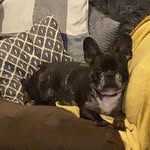 Marble Jones - @marbleandme2021 - Instagram