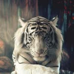 altmann - @altmann_marc - Instagram