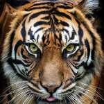 Marc Altmann - @altmann.marc - Instagram