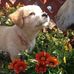 Edu Alard Morgan - Facebook
