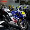 Marc Amy - @30864170521 - TikTok