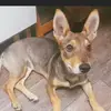 Marc Andreu - @marc.andreu8 - TikTok