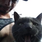 Marc Angers - @atreyu.marc - Instagram