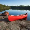 marcangers - @mr.roger_rabbit - TikTok