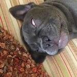 Marc Arnett - @arnett_marc - Instagram
