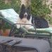 Marc Aubry - Facebook