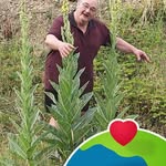 Marc Aubry - @marc.aubry.7399 - Instagram