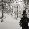 Marc Aubry - @marcaubry6 - TikTok