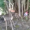 marcaubry625 - @marcaubry625 - TikTok
