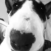 Marc Augen - @marc.augen - TikTok