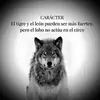 Marcial Juan Azcona - @marcialjuanazcona - TikTok