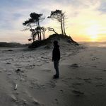 Marc Bachmann - @marc.bachmann.104 - Instagram