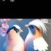 Marc Barengayabo - Facebook