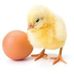 Marc Barth - Facebook