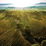 Marc Barthélémy - @marcbarthelemycreation - Instagram