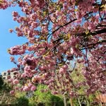 Marc Bartoli - @marcbartoli9 - Instagram