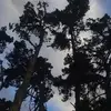 marcbarton94 - @marcbarton94 - TikTok
