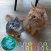 Marc Bastien - Facebook
