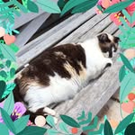 Jean-Marc Belleville - @juanmarco38 - Instagram